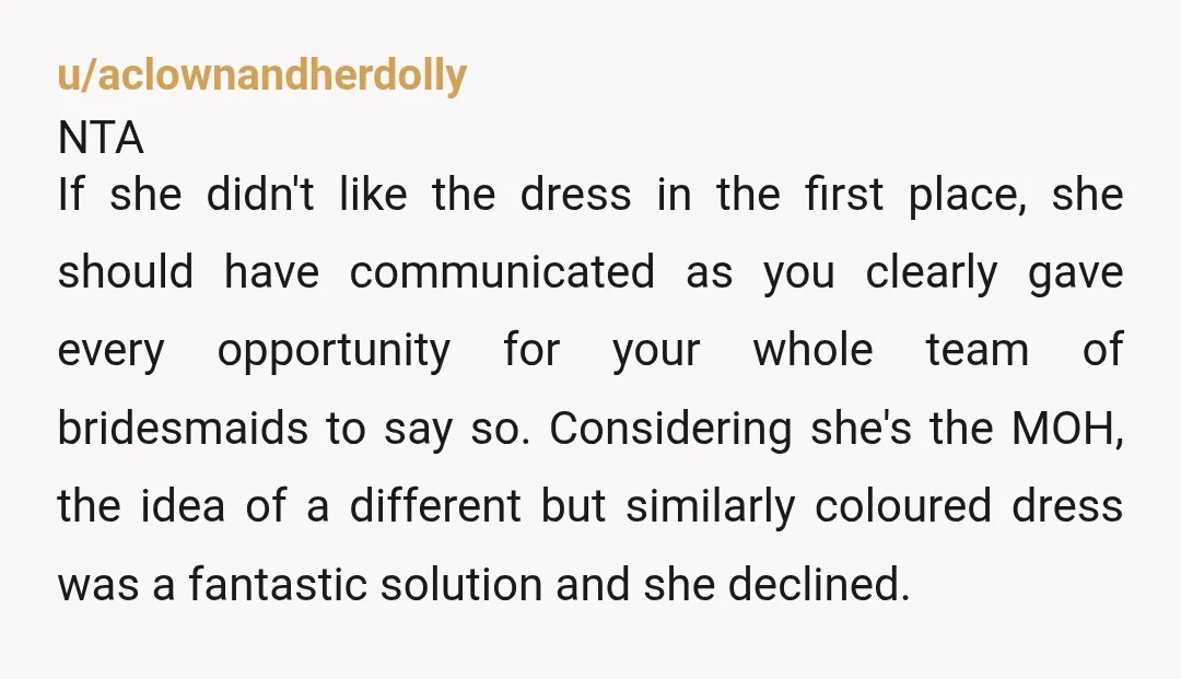 u/aclownandherdolly NTA If she didn't like the dress in the first place, she should have communicated as you clearly gave every opportunity for your whole team of bridesmaids to say...