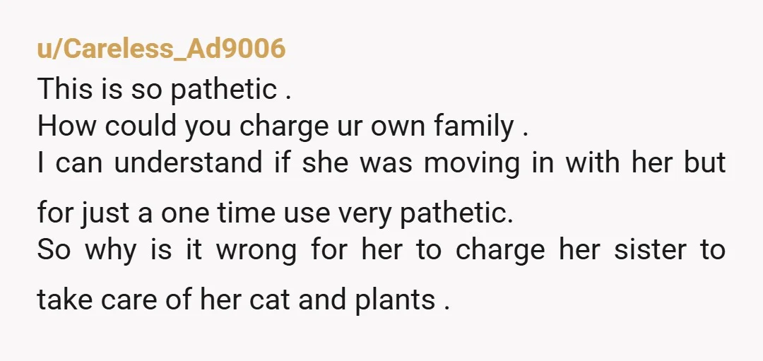 u/Careless_Ad9006 This is so pathetic . How could you charge ur own family . I can understand if she was moving in with her but for just a one time...