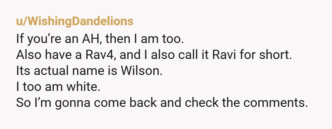 u/UnrealKP24
As an Indian with a RAV4 - I’m annoyed I dint think of it