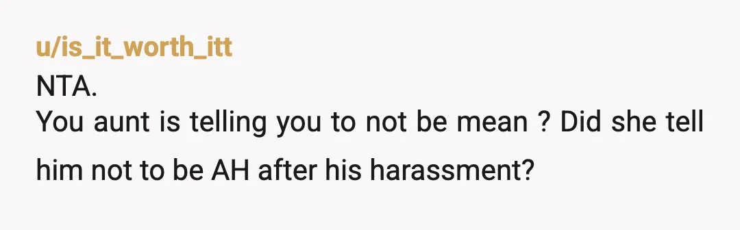 u/is_it_worth_itt
NTA.
You aunt is telling you to not be mean ? Did she tell him not to be AH after his harassment?