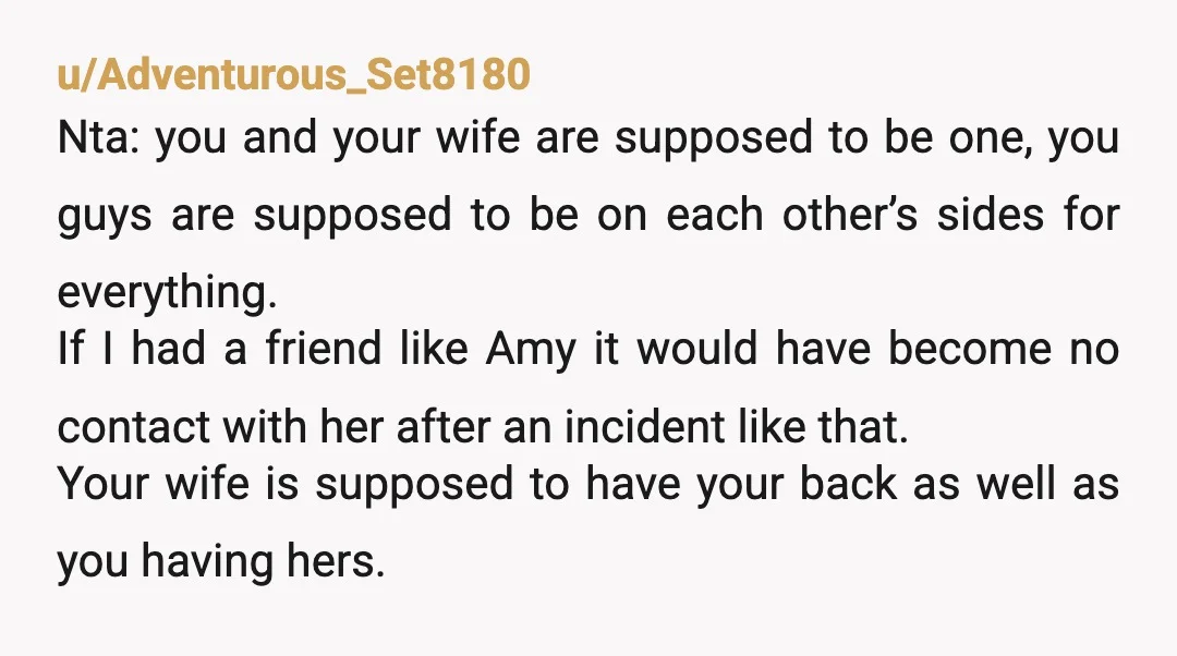 u/wlfwrtr NTA Send mass text to wife and family, "Essentially I was sexually assaulted by my wife's best friend who when I fought back falsely claimed I assaulted her. My...