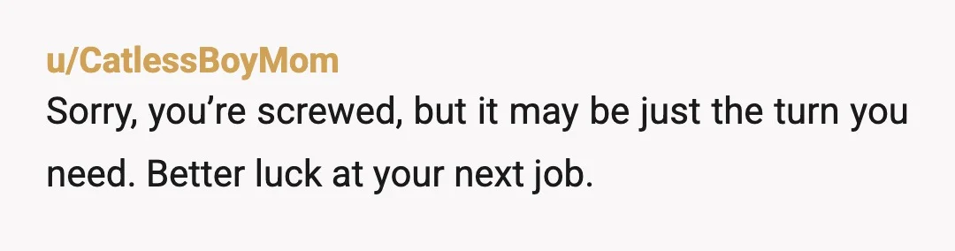u/CatlessBoyMom
Sorry, you’re screwed, but it may be just the turn you need. Better luck at your next job. 