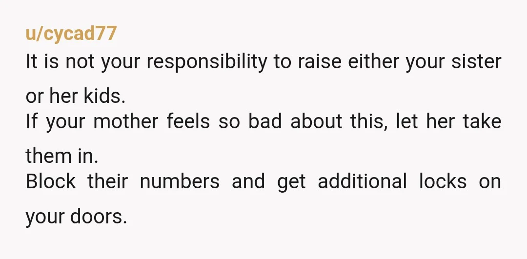 u/AdorableLime Your sister is responsible for her own life and choices. If she made 3 kids, she is the only one responsible for their upbringing. And speaking about upbringing, it's...