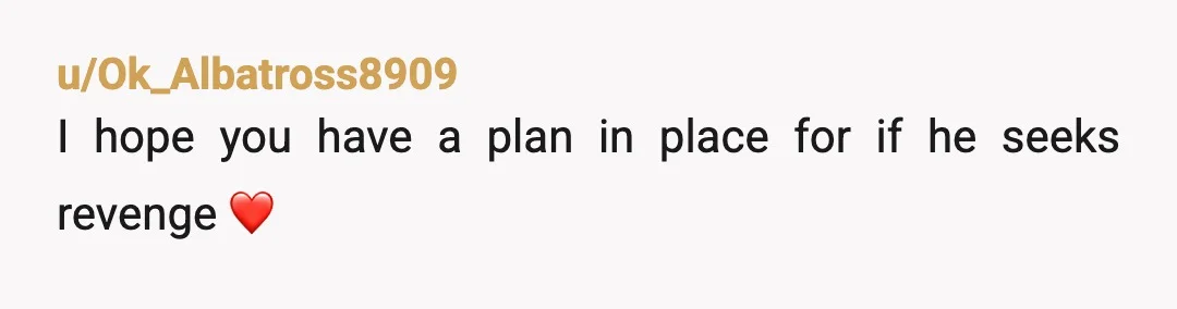 u/Ok_Albatross8909
I hope you have a plan in place for if he seeks revenge ❤️