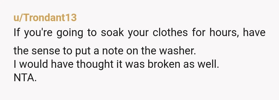 u/Trondant13
If you're going to soak your clothes for hours, have the sense to put a note on the washer.
I would have thought it was broken as well.
NTA.