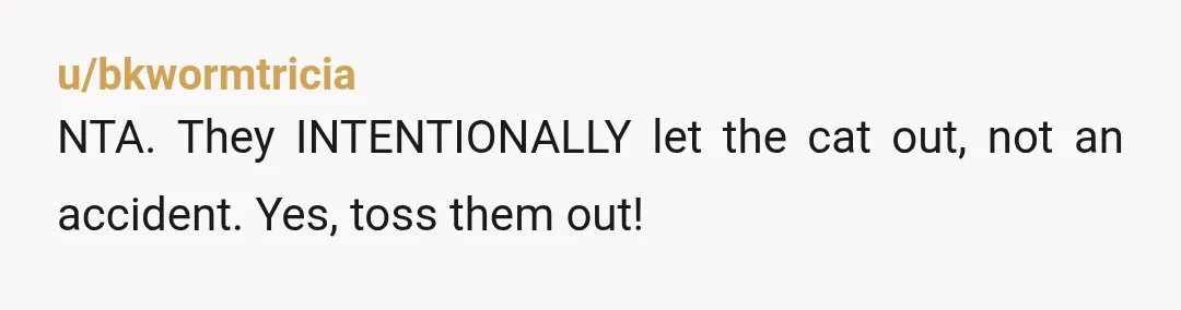 u/bkwormtricia
NTA. They INTENTIONALLY let the cat out, not an accident. Yes, toss them out!