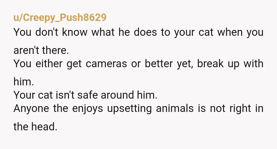 u/Butternut_the_Squash NOR. There is no reason to be such an AH to a cat. If your cat is hiding from him, there’s probably a reason. Get rid of him and...
