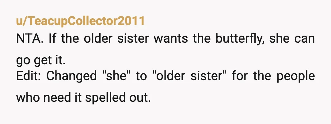 u/jhewins1975 When I read "my niece never said boy I want one of those yard art butterflies you make out of tin and rebar" I literally choked and coughed and...