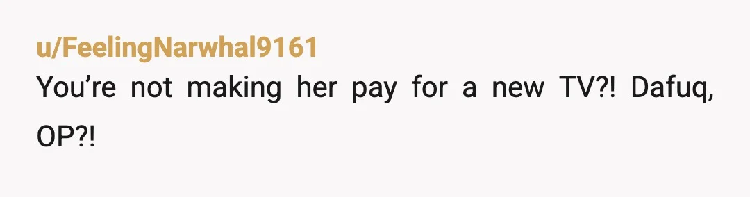 u/B58_Hustler
Send a bill for the vet visit, replacement TV and your doctors visit for your hearing. If it’s nothing she should cough up the $$ no problem…