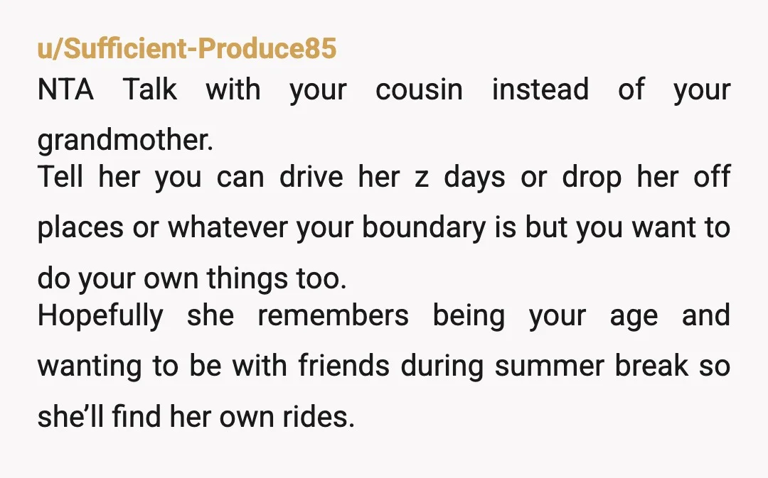 u/designatedthrowawayy Does no one else in your family drive? NTA. And stick to your guns on this. Also neurodivergent. I refuse to drive if there are any big distractions in...