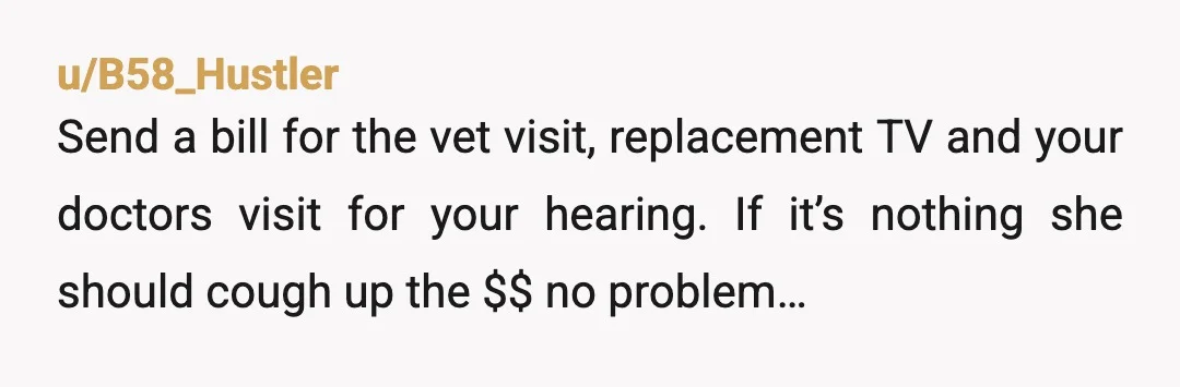 u/Particular_Pay3831
NTA
And you better start addressing this issue to your MiL before your b*tch of a SiL spins the story and poisons her against you