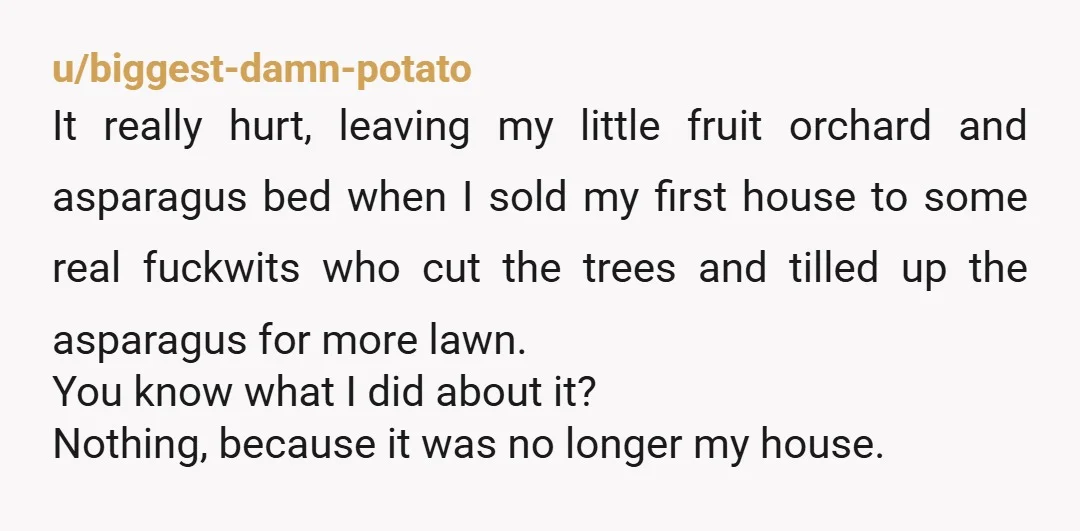 u/Med9876
NTJ You own the house, property and tree.
The previous owners have no right to the fruit and abused your previous graciousness.