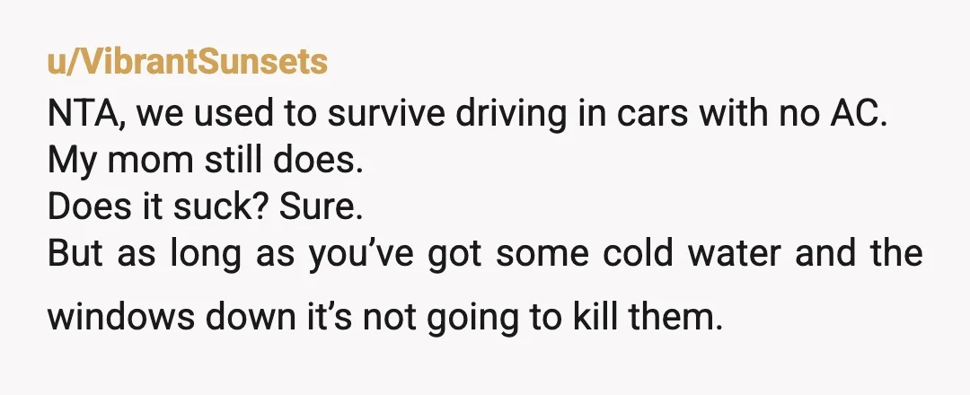 u/VibrantSunsets NTA, we used to survive driving in cars with no AC. My mom still does. Does it suck? Sure. But as long as you’ve got some cold water and...