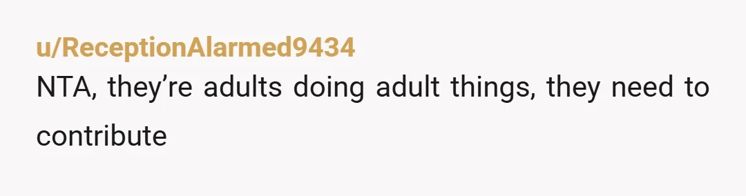 u/ReceptionAlarmed9434
NTA, they’re adults doing adult things, they need to contribute