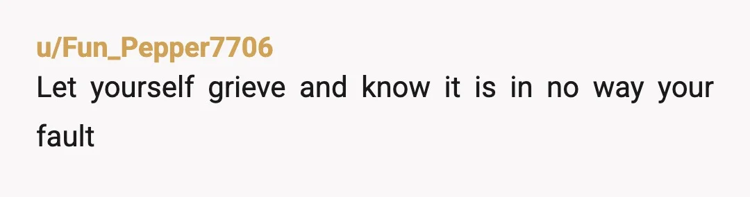 u/Fun_Pepper7706
Let yourself grieve and know it is in no way your fault