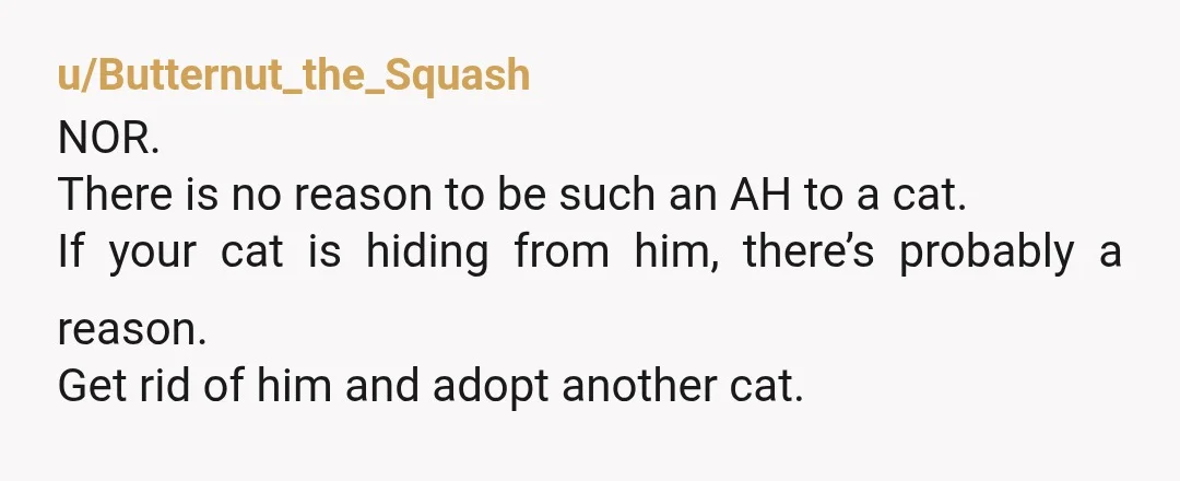 u/natalieisfreezing- NOR your boyfriend is abusing your cat. He is punishing without reason, intentionally causing anxiety. That's abuse. You need to choose your cat over your boyfriend before this escalates...