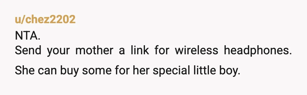 u/Existing_Fact_3962
NTA and take them BOTH back.
Make it clear to your entitled little brother his choice is either a monitor with no speakers or no monitor at all.