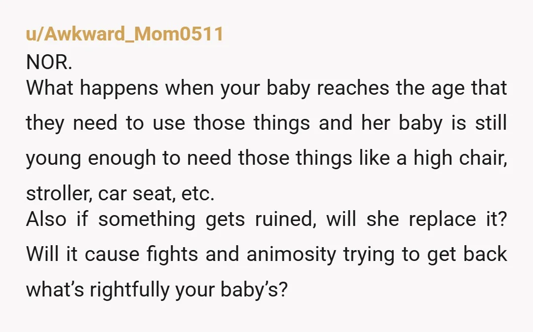 u/Awkward_Mom0511 NOR. What happens when your baby reaches the age that they need to use those things and her baby is still young enough to need those things like a...