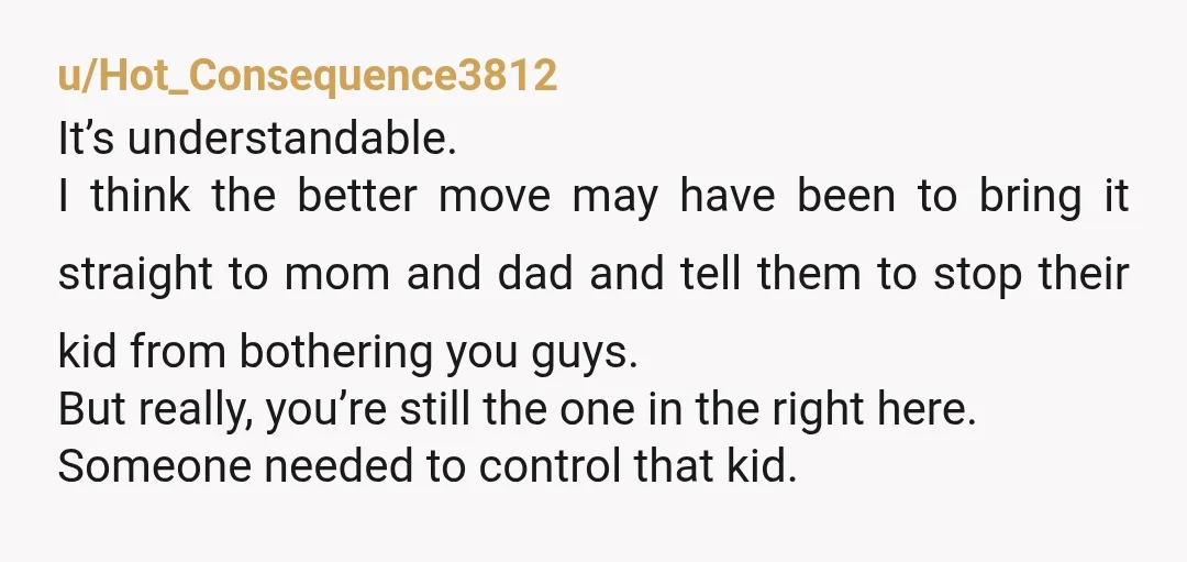u/Hot_Consequence3812 It’s understandable. I think the better move may have been to bring it straight to mom and dad and tell them to stop their kid from bothering you guys....