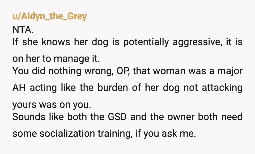 u/Phantom_Crush So because she's incapable of properly training her dog, every single other dog owner in the world has to cross the road to avoid her? lmfao, get outta here....