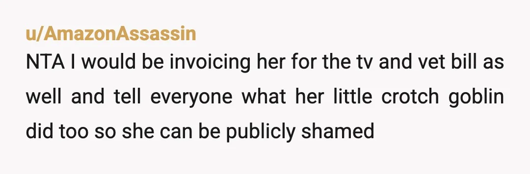u/DragonSeaFruit Why haven't you billed her for the television? I don't see how you're better when you are enabling this child's bad behavior as well, along with your SIL's terrible...