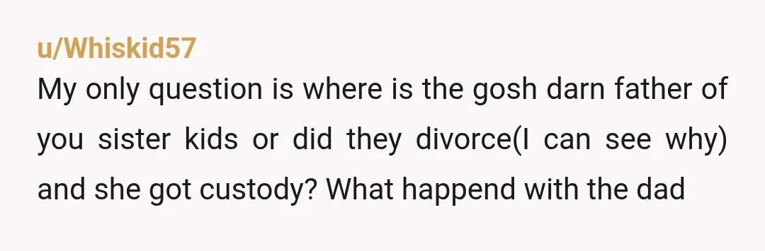 u/Whiskid57 My only question is where is the gosh darn father of you sister kids or did they divorce(I can see why) and she got custody? What happend with the...