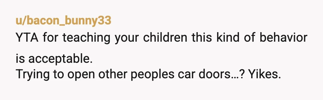 u/bacon_bunny33
YTA for teaching your children this kind of behavior is acceptable.
Trying to open other peoples car doors…? Yikes.