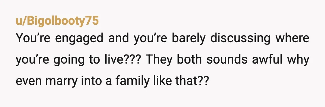 u/infinity_style NTA but you're walking into a minefield here. You need to sit down and have a rational discussion with your partner about expectations and what marriage is going to...