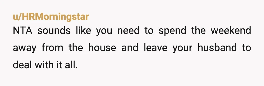 u/HRMorningstar
NTA sounds like you need to spend the weekend away from the house and leave your husband to deal with it all.