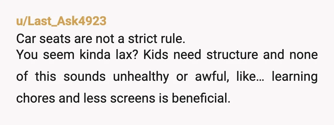 u/Last_Ask4923 Car seats are not a strict rule. You seem kinda lax? Kids need structure and none of this sounds unhealthy or awful, like… learning chores and less screens is...