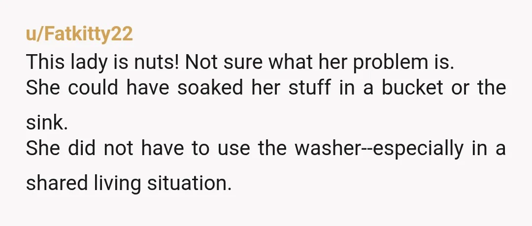 u/whogivesashite2
nevermind, been corrected
I totally would have assumed the washer crapped out. She's an ass.