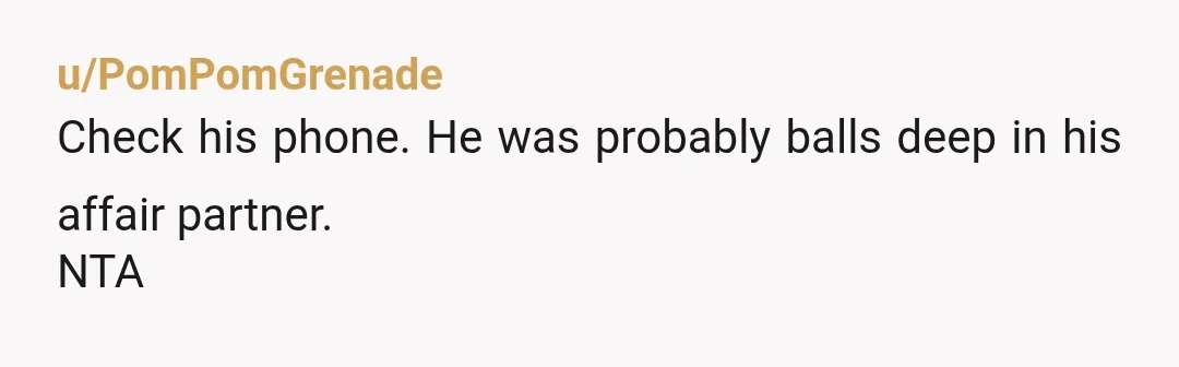 u/PomPomGrenade
Check his phone. He was probably balls deep in his affair partner.
NTA