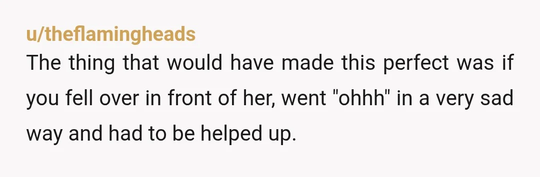 u/theflamingheads The thing that would have made this perfect was if you fell over in front of her, went "ohhh" in a very sad way and had to be helped...