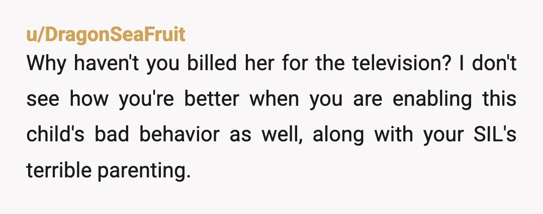 u/EternalGuardian84 NTA: send your SIL a bill. The new Tv, the vet bill, the bill for the wasted food, and anything you need to pay after you see your doctor...