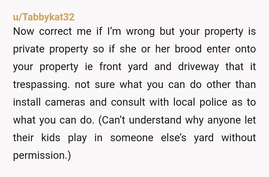 u/3Fluffies Send them a letter saying they don’t have permission to use your driveway - or they do only under X circumstances so they can’t claim adverse possession. (They’d probably...