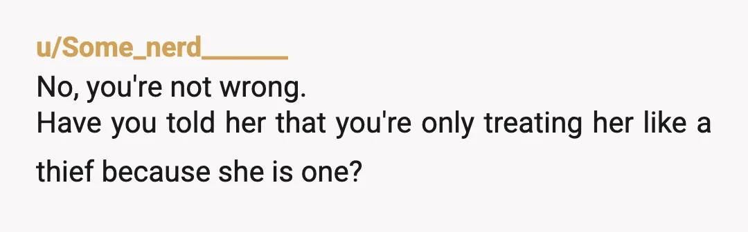 u/Some_nerd_______
No, you're not wrong.
Have you told her that you're only treating her like a thief because she is one?