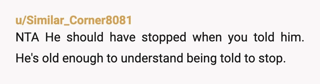u/Similar_Corner8081
NTA He should have stopped when you told him. He's old enough to understand being told to stop.