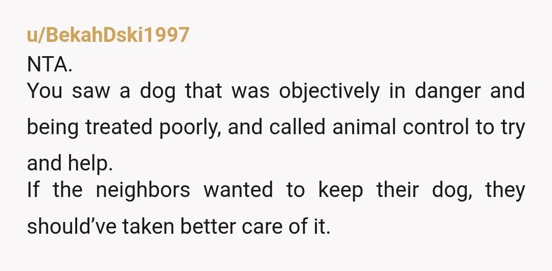 u/BekahDski1997 NTA. You saw a dog that was objectively in danger and being treated poorly, and called animal control to try and help. If the neighbors wanted to keep their...