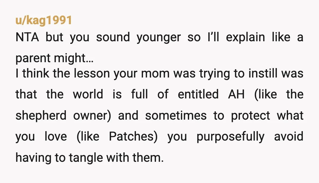 u/yeahipostedthat ESH. I think the person with the aggressive dog should be the one to cross. But i also think common sense should have kicked in for you when you...