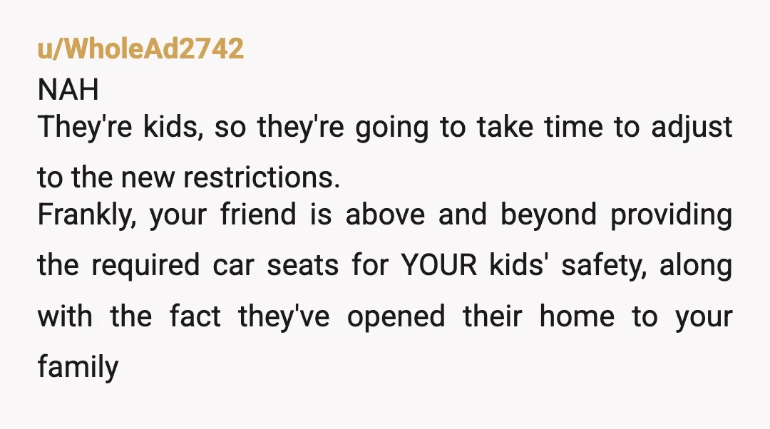 u/WholeAd2742 NAH They're kids, so they're going to take time to adjust to the new restrictions. Frankly, your friend is above and beyond providing the required car seats for YOUR...