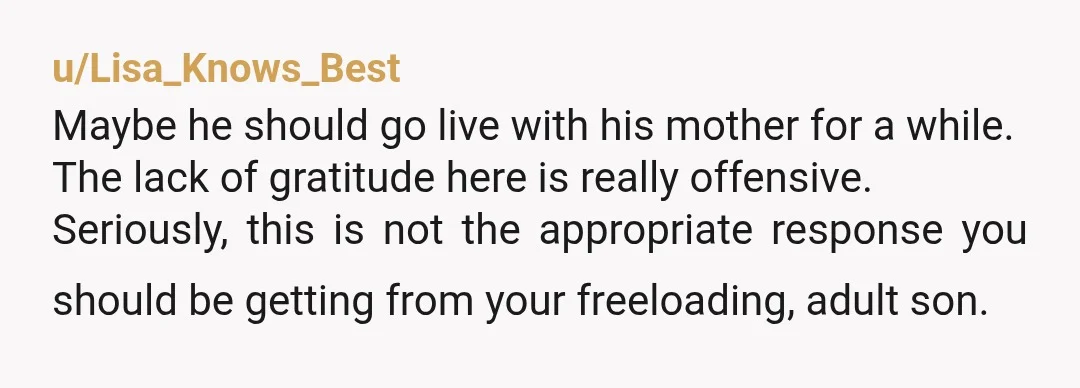 u/Lisa_Knows_Best Maybe he should go live with his mother for a while. The lack of gratitude here is really offensive. Seriously, this is not the appropriate response you should be...