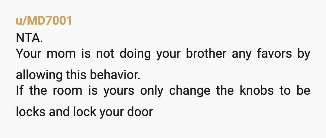 u/BestAd5844 Technically they are both your monitors. Your mom is lucky you don’t take the other one back too. NTA but I would consider getting a lock for your door...