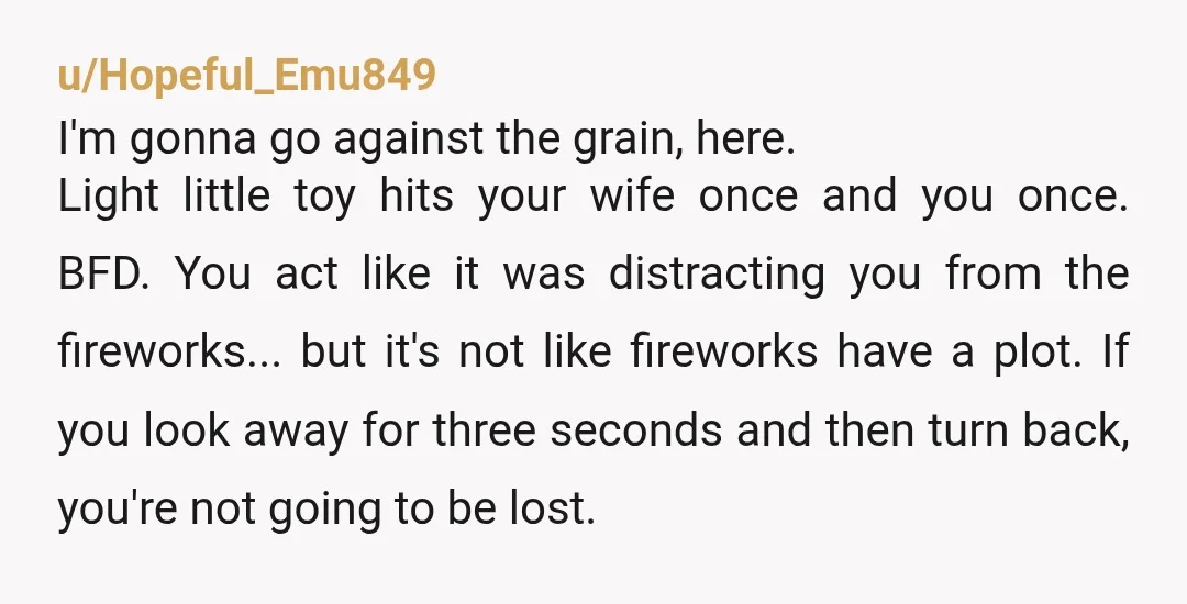 u/Hopeful_Emu849 I'm gonna go against the grain, here. Light little toy hits your wife once and you once. BFD. You act like it was distracting you from the fireworks... but...