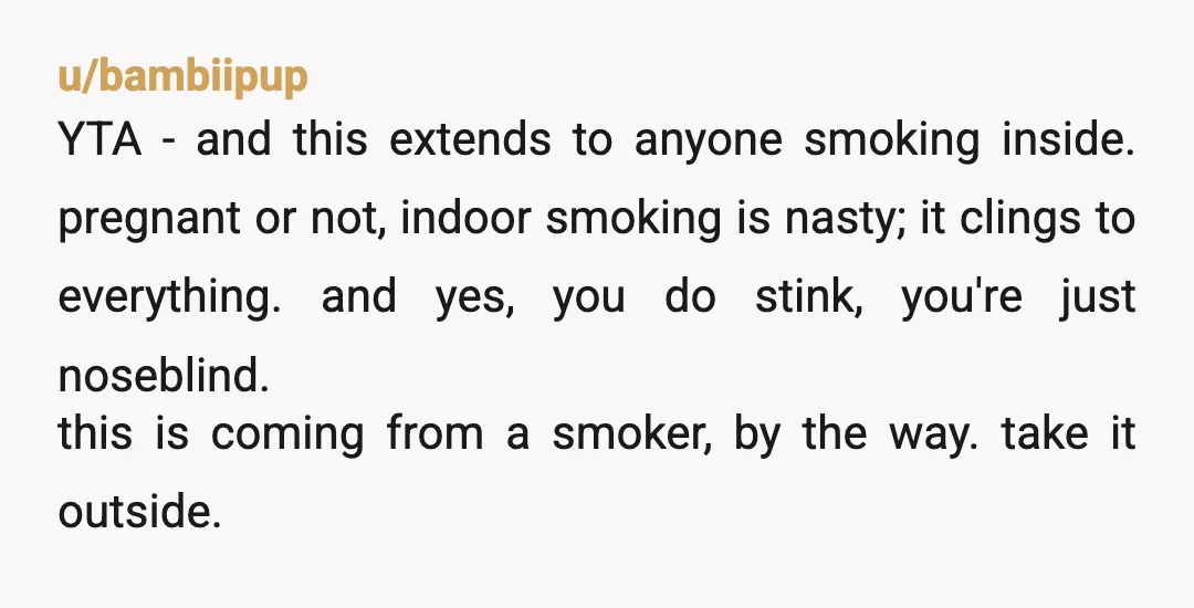 u/Sad_Investment_9404
YTA definitely.
Even if she weren't pregnant, you should respect your roommates and not smoke indoors.
I mean WTF, dude...