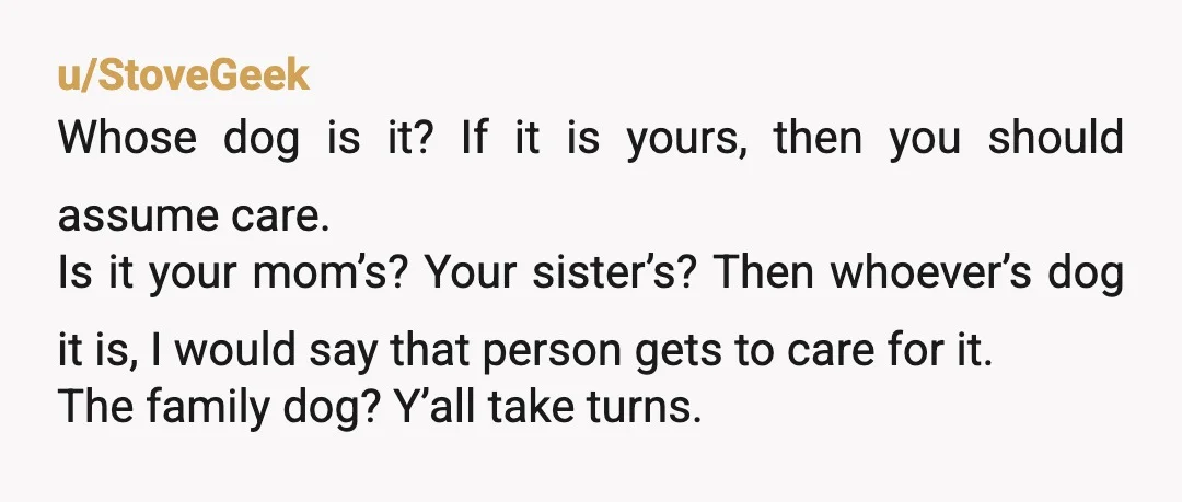 u/Yutana45 NTA, get your social security card, birth certificate, high school diploma, and get to a shelter. From there, contact social services as you're young enough to get support and...