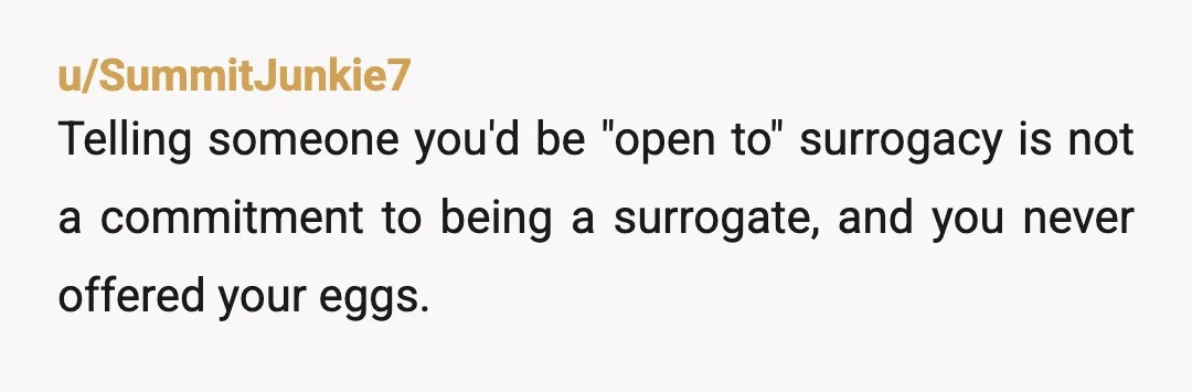u/SummitJunkie7 Telling someone you'd be "open to" surrogacy is not a commitment to being a surrogate, and you never offered your eggs. I find it a big problem that in...