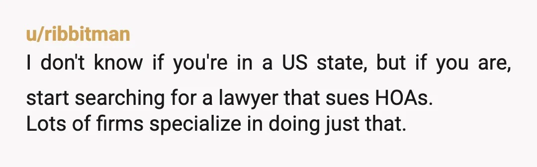 u/ribbitman I don't know if you're in a US state, but if you are, start searching for a lawyer that sues HOAs. Lots of firms specialize in doing just that....