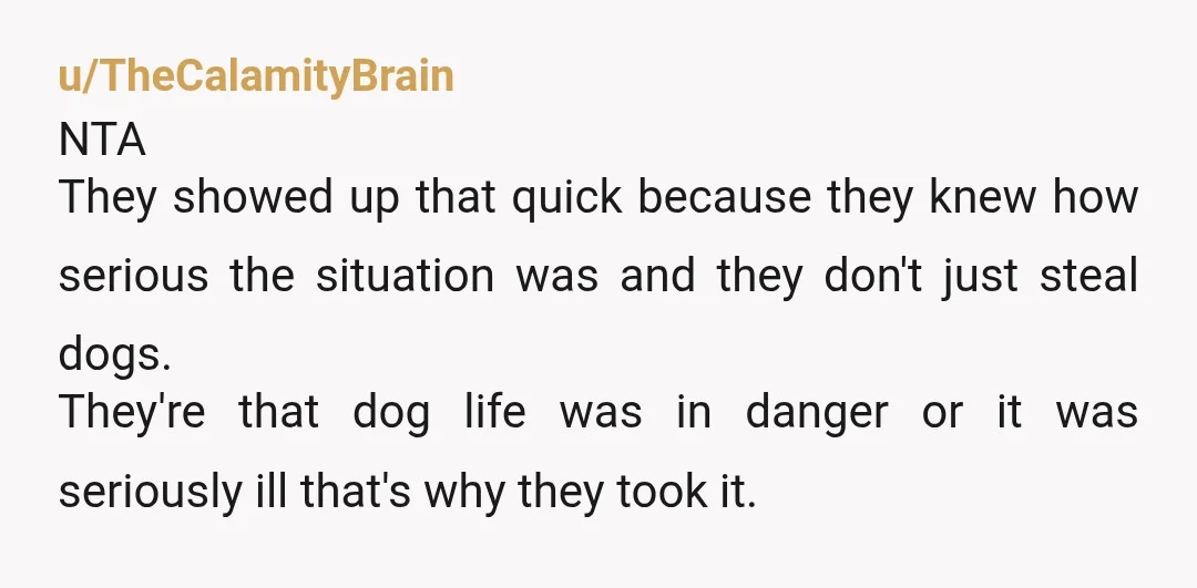 u/TheCalamityBrain NTA They showed up that quick because they knew how serious the situation was and they don't just steal dogs. They're that dog life was in danger or it...