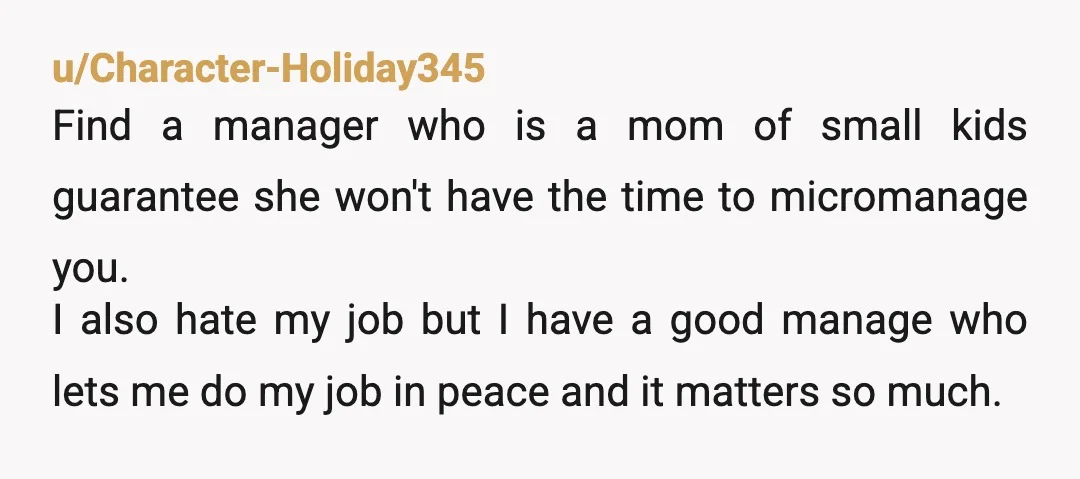 u/lewdstreet
There are companies that do not micromanage and give you freedom if you're good at your job, you probably weren't lucky enough yet to land one for those jobs.