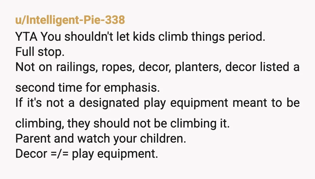 u/Intelligent-Pie-338 YTA You shouldn't let kids climb things period. Full stop. Not on railings, ropes, decor, planters, decor listed a second time for emphasis. If it's not a designated play...